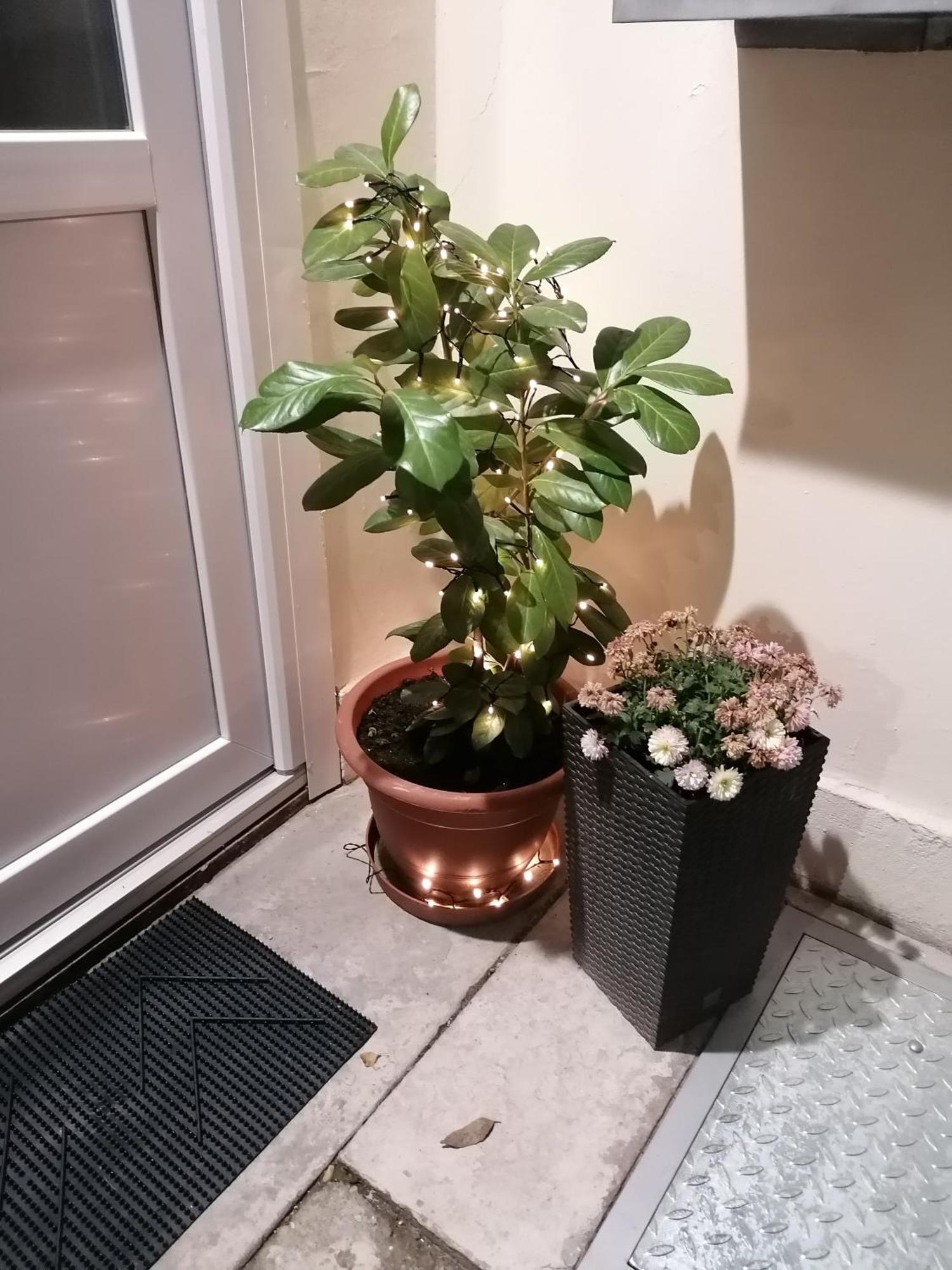 Mohacs Korona Apartman 외부 사진
